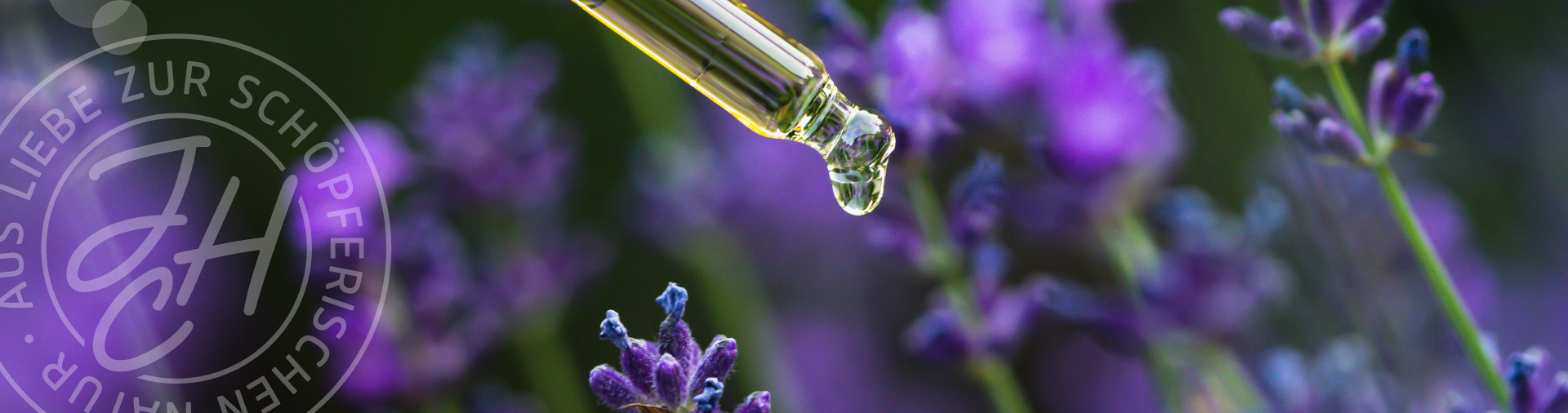 Pipette mit Tropfen vor einer Lavendelblüten