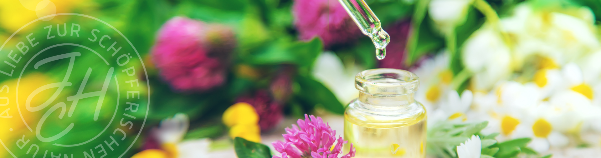 Pipette mit einen Tropfen öl fällt in eine Flasche umringt von Gänseblümchen und Kleeblüten