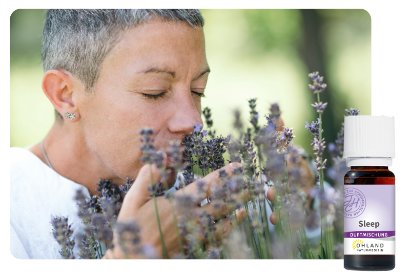Startseite_Lavendel_Sleep