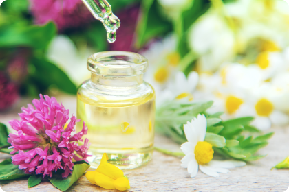 Pipette mit einem Tropfen öl fällt in eine Flasche umringt von Gänseblümchen und Kleeblüten