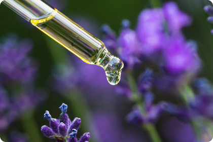 Pipette mit Tropfen vor einer Lavendelblüten