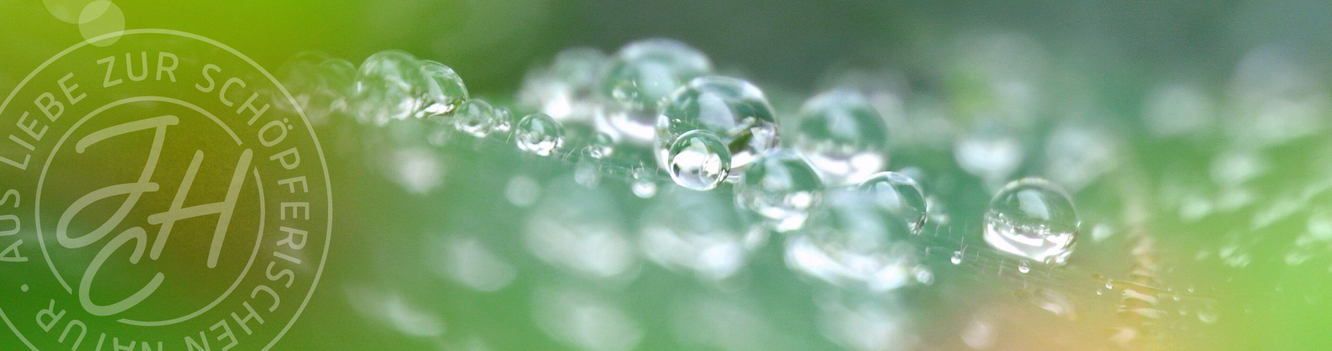 Wassertropfen auf einen Blatt